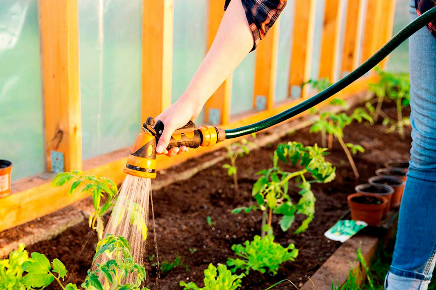 Istuta kasvihuoneeseen Istuta kasvihuoneeseen